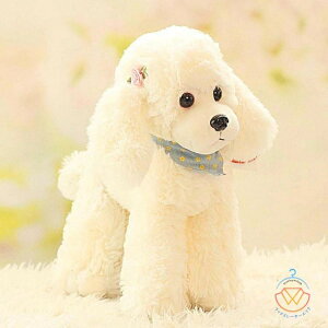 RɃ|[Y gCv[h   ybg ObY { A  v[g ybgX ʂ̂ʂ ̂ʂ ʂ ^  D   25c