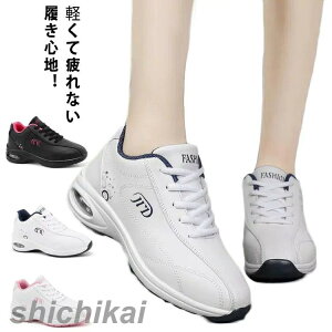 Z[ StV[Y fB[X Y V[Y XpCNX golf C ʋC jp  h Xj[J[ C ChX^C L XpCNXStV[Y 傫TCY S