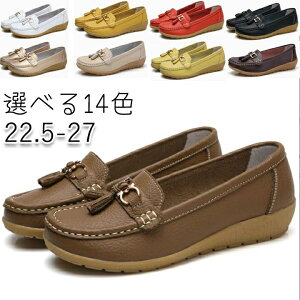 ���[�t�@�[ ���f�B�[�X ���[�q�[�� �p���v�X �X���b�|�� �I�ׂ�14�F �傫���T�C�Y ���� �����S�n 3cm �V���[�Y �����p �J�W���A�� �����₷�� �ʋ� �ʊw �����d�� ����� �E���Ȃ� �A�� �p���v