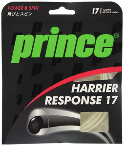 Prince(vX) dejX Kbg nA[ X|X 17 7JJ032 NAzCg