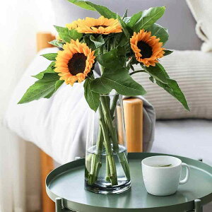 �K���X�x�[�X �ԕr�K���X �Ԋ� 22cm �t�����[�x�[�X �K���X�{�g�� ���� �k�� �A�����W �C���e���A ���͔| ������ ���� ������� �V���v�� �C���e���A