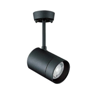 �����Ɩ� �X�|�b�g���C�g JDR TYPE �t�����W�^�C�v ���{�� �_�[�N�O���[ ERS4155H