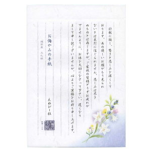 Gkr[ `邫B5  5300208