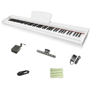 �y�ؐ��d�q�s�A�m �zLongeye �d�q�s�A�m 88���� MOLD2 ���{��\�L ��w�b�h�z�������g�p MIDI�[�q�Ή� 10mm�X�g���[�N 380��މ��F �ڒ� DREAM���� ���S�� ���K�Ƀs�b�^�� MIDI�Ή� �C���z�� ���{��