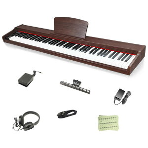 yؐdqsAm zLongeye dqsAm 88 MOLD2 {\L wbhzgp MIDI[qΉ 10mmXg[N 380މF ڒ DREAM S KɃsb^ MIDIΉ Cz {