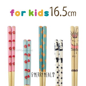 y2܂Ń[։z[~[ for kids 16.5cm[͂  IV 킢 CXg q LbY ̂  p_  Mtg 蕨 `RȊO]