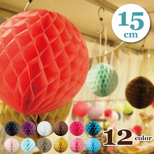 y5܂Ń[։zpsG|| 15cmyBNz[|| njJ{[  y[p[ p[eB[ObY EGfBO K[h fBXvC Vbv CeA t`  J