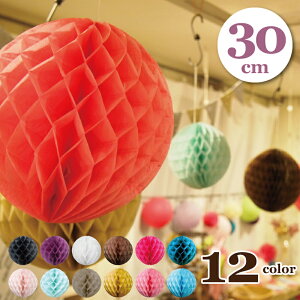 y5܂Ń[։zpsG|| 30cmyBNz[|| njJ{[  y[p[ p[eB[ObY EGfBO K[h fBXvC Vbv CeA t`  J