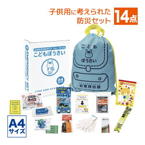 hЃZbg qp A4 ǂڂ14_Zbg KS-30 hЃObY A4{bNX qǂ po RpNg h nk΍ hЗpi ЊQ΍ gїpgC pgC ЊQ  1lp 