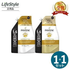 PANTENE パンテーン エクストラダメージリペア シャンプー＆コンディショナー 詰替え 超特大 1700ml