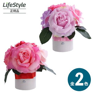 Formosa tHT t[ AW [Y×J[l[V lZT[tLEDCg p  sN x_[ S2F