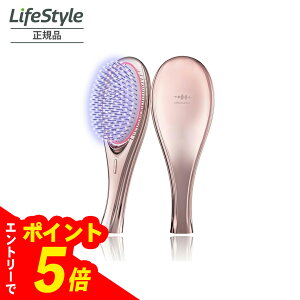 yGg[Ń|Cg5{zWAVEWAVE EMS Brush Air WH41-01-PG sNS[h MtgΏ