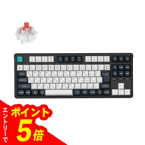 �y�G���g���[�Ń|�C���g5�{�z Keychron C3 Pro Wired Mechanical Keyboard
