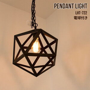 ペンダントライト エジソン球L 1灯 電球付き LED対応 おしゃれ レトロ ヴィンテージ アンティーク インダストリアル ミッドセンチュリー 吊り下げ式 照明 天井照明 照明器具 間接照明 ライト