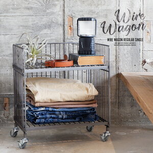 y11/27܂ōőP10{zS LX^[t 2i  C[S [ X`[ Lb`[ rO[ [^Cv C_XgA S h[S Lb`S Wire Wag