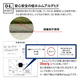 楽天市場 ラグ ラグマット 洗える おしゃれ 直径190 カーペット 北欧 低ホルムアルデヒド ウレタンラグ 洗濯機 床暖房 円型 円形 着後レビューでクーポン Pup01 ライフスタイルショップ Funfun