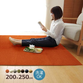 【最大P10倍〜8/18】ラグ ラグマット おしゃれ 200×250 カーペット 洗える 洗濯機 丸洗い 撥水加工 短毛 薄手 滑り止め ホットカーペット対応 床暖房対応 北欧 シンプル モダン ベージュ グリーン グレー ホワイト アイボリー オレンジ オールシーズン