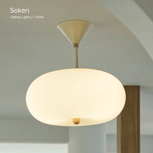 V[OCg  k Sokeri \P LT-4546 Mt LEDΉ KX 킢 Ɩ VƖ Vv ~bhZ`[ _CjO rO V[Ov AeB[