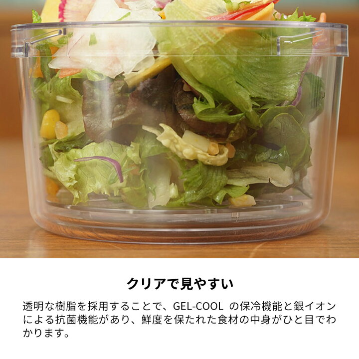 楽天市場】【クーポン配布中】お弁当箱 保冷剤付き ジェルクール 