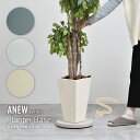 【先着半額クーポン】植木鉢トレー キャスター付き 30cm 鉢皿 木製 鉢台 受け皿 平台車 植木鉢台 トレイ トレー プレ…