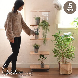 bN LX^[t 5i  fBXvC [ {I AN  S I[vbN I e k i` ANbN ړ rO[ q X ȃX