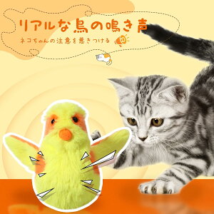 uvLp ʂ Ђ悱 d ͂΂  Lߋ ybg ЂƂV Aȓ H ӂӂ FN₩ [h\ 􂢉\ USB[d C-TYPE