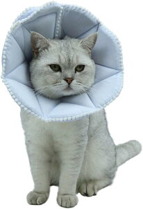 _炩 GUxXJ[ p Lp p㏝ی rߖh~ ~h~ \ y ʋC