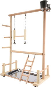  Vѓ ~܂ @IE̗Vя@؂̃IÊƂ܂؁@WvCX^hCR̂͂AtB[_[JbvƂ̃GNTTCYvC