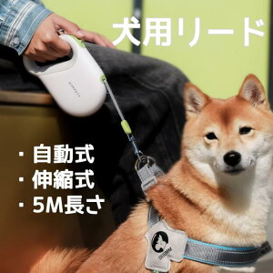  [h Lk[h O[h 莮 hbO[h p[h qh~ Eh~  ^ ^ ^ U ₷  P g[jO [V v 