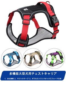  ^ xgp n[lX   U o ȒP RpiC ϖՐ \ ʋĈ鐶n  킢  Ck hbO ybg xg