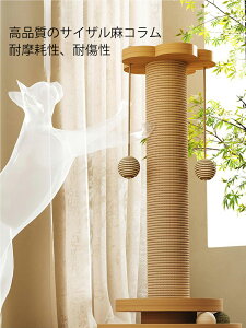 Lbg^[ ؐ L^[ ݂肨 ܌ ^s  Vv G Ƌ CeAi40cm*24cmj