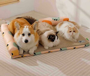 xbh NbV  xbh ybgxbh ybg\t@[ ^/^p Lp ӂӂ _炩 ėp 