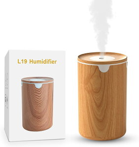 加湿器 小型 卓上 加湿器 除菌 アロマ対応 LEDライト 超音波加湿器 静音 卓上加湿器 自動停止機能 空焚き防止 加湿器 小型 卓上加湿器 デスク 寝室 オフィス 車用 リビング 次亜塩素酸水対応