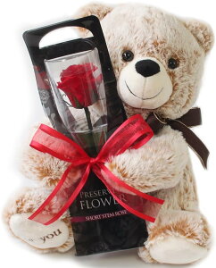 yzzvU[uht[ vU[ht[ N}ƈւKN bh v[g j LO a AW t[Mtg t[AWg ͂Ȃo  