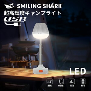 LED^ Px Type-C[d h 3iKߎ AEghAƖ Lv ^ Lv/oR/h/d