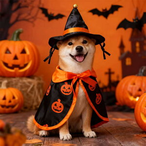 ybg }g nEB  RXv Xq hbOEFA  L  ^ gCv[h R[M[ ϐg RX`[ P[v p[eB[ Cxg ʐ^ Be   v[