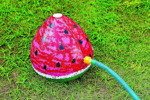 yzzV[XCJ 30×26cm ^ v[Vс@XCJ{[