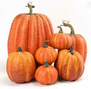 yzznEB 7PCS ڂ ܂ŎlTCYgݍ킹Uڂ V~[VpvL u I[ig nEBɏt