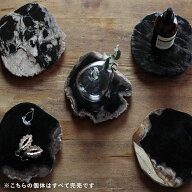 【100個体で選べる】 amabro WOOD COASTER black アマブロ ウッドコースター 珪化木 アクセサリートレイ …