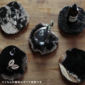 《クーポンプレゼント》【個体で選べる】 amabro WOOD COASTER black アマブロ ウッドコースター 珪化木 アクセサリートレイ ブラック 黒 ※予約・取り置きは承っておりません