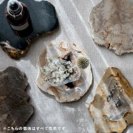 【～50個体選べる】 amabro 天然の珪化木 WOOD COASTER Natural アマブロ ウッドコースター 珪化木 ナチ…