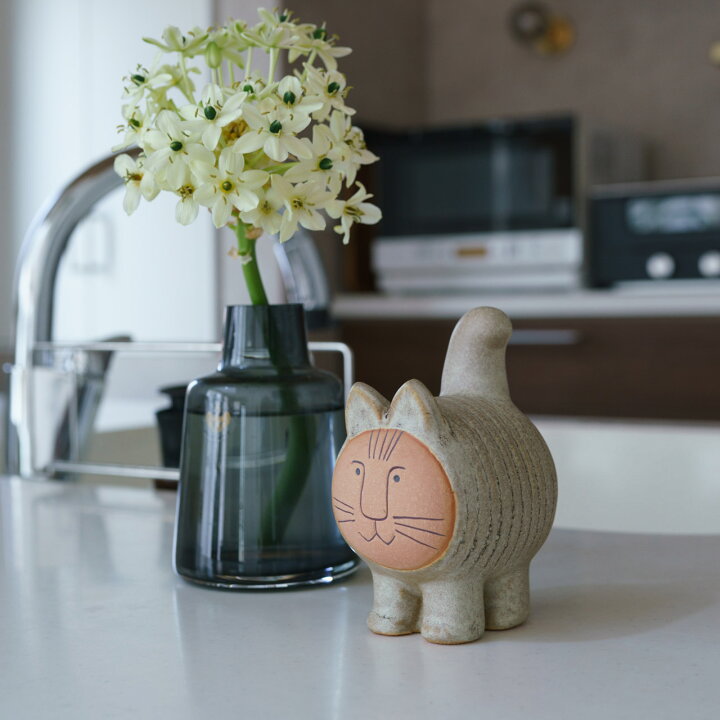 楽天市場】【個体で選べる】 ギフトボックス入り 正規品 DieciCat 