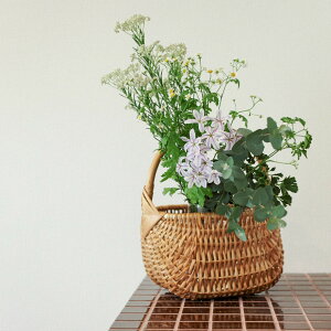 grA PINUMU PASAULE g[oXPbg [ ؐ t K ҂  k  t[oXPbg Ԃ oXPbg grÂ iM JSobO nhCh