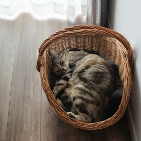 ラトビア 猫かご 薪のバスケット 2サイズ PINUMUPASAULE ピヌム・パサウレ 柳 木製 取っ手付き 持ち手付き 猫 ベッド 猫ちぐら 猫 ハウス リガ 手編み 手作り ハンドメイド 北欧 かご 大きい バスケット