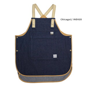 BIB Chicago1 ڍ ANc { VJS1 VJS B2009 ru  IWiY [NGv LvGv K[fjOGv JtFGv ĂGv jp t[T