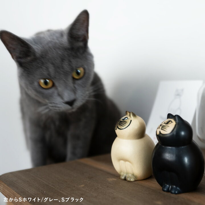 楽天市場】【個体が選べる】 プレゼントボックス入り 正規品 MIA S 