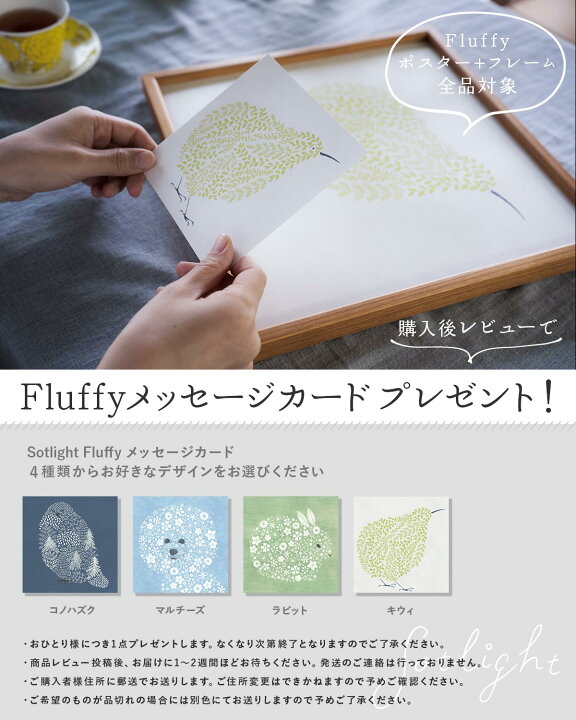 楽天市場】《メッセージカードプレゼント》 sotlight シロフクロウ 