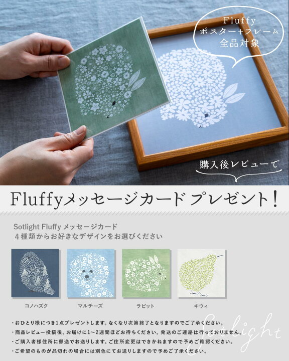 楽天市場】《メッセージカードプレゼント》 sotlight コノハズク 20cm 