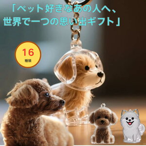 ̖ю[L[z_[ P[X ybgуAObY LO{g ѕۑ Č gCv[hΉ Mtgɂ ̔т؂ɕۊǂł vo