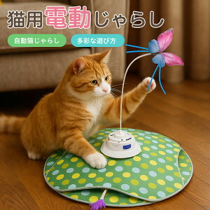 L  d  L炵 lV ߋ Ht [d 3[h mߋ ԊOm ybgΉ XgX {\h ^s ԈS p É݌v l